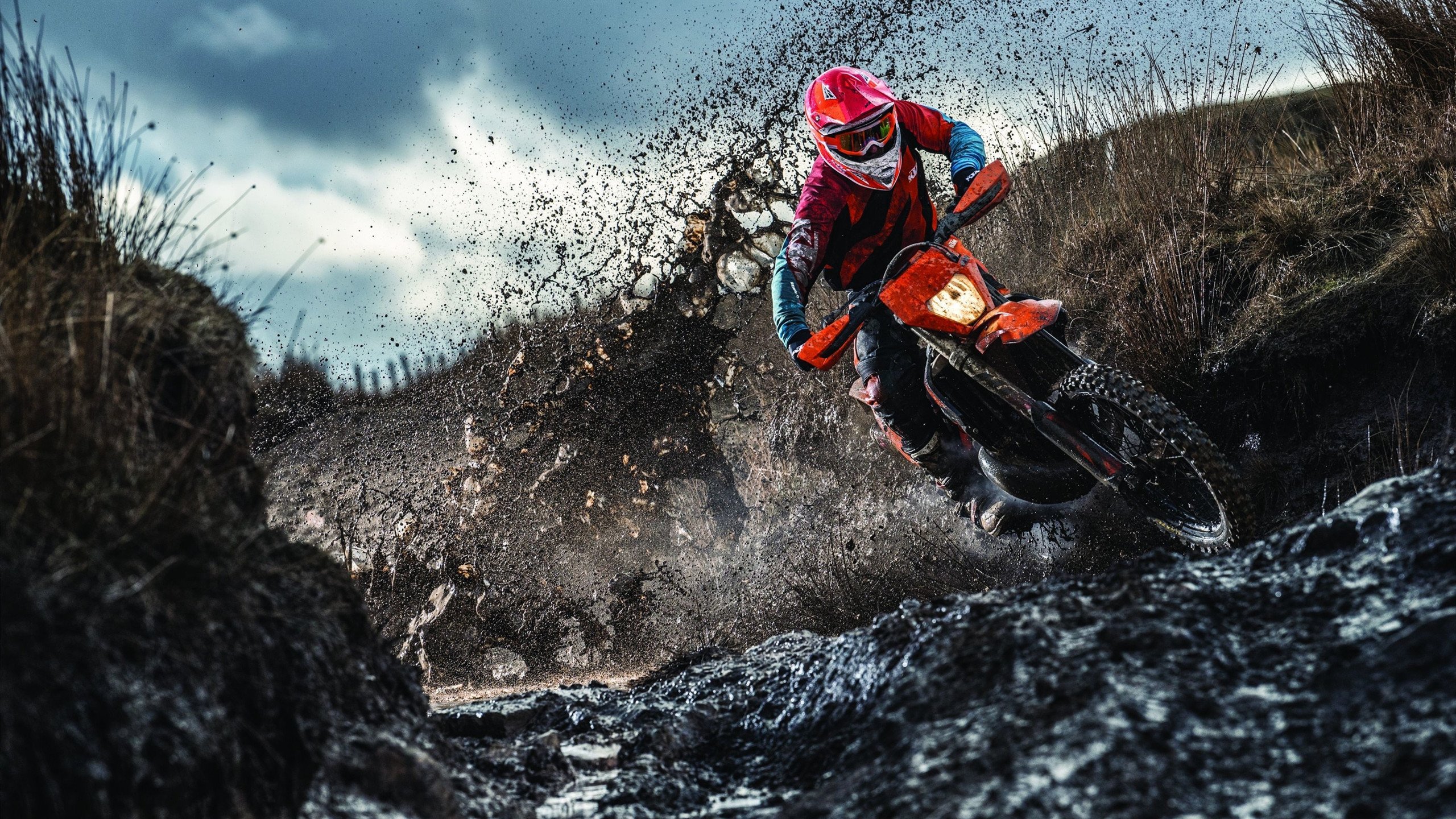 体育粉丝经济发展